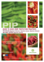 13-09-03-chilli-manual