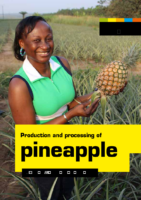 CTA-EWB-Pineapple-production