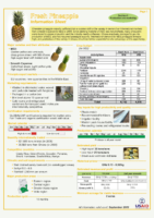 Fresh-Pineapple-Info-Sheet-24Sep099
