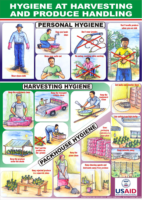 Harvest-and-Packhouse-Hygiene-poster