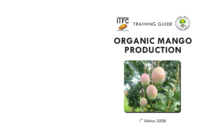 Mango-Organic