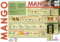Mango-Quality-Poster