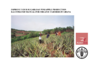 Organic_sugarloaf_pineapple_manual