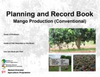 Record-Book-Mango-Conventional