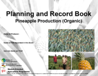 Record-Book-Pineapple-Organic